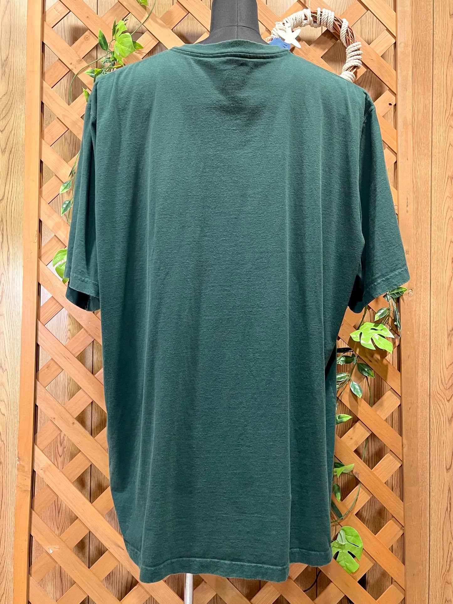 【carhartt】（3XL）グリーン系のヘンリーネックTシャツ