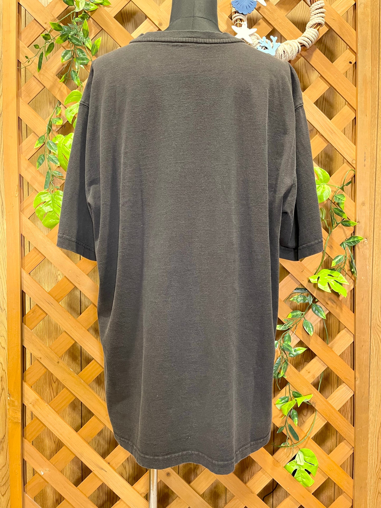 【carhartt】黒のヘンリーネックTシャツ