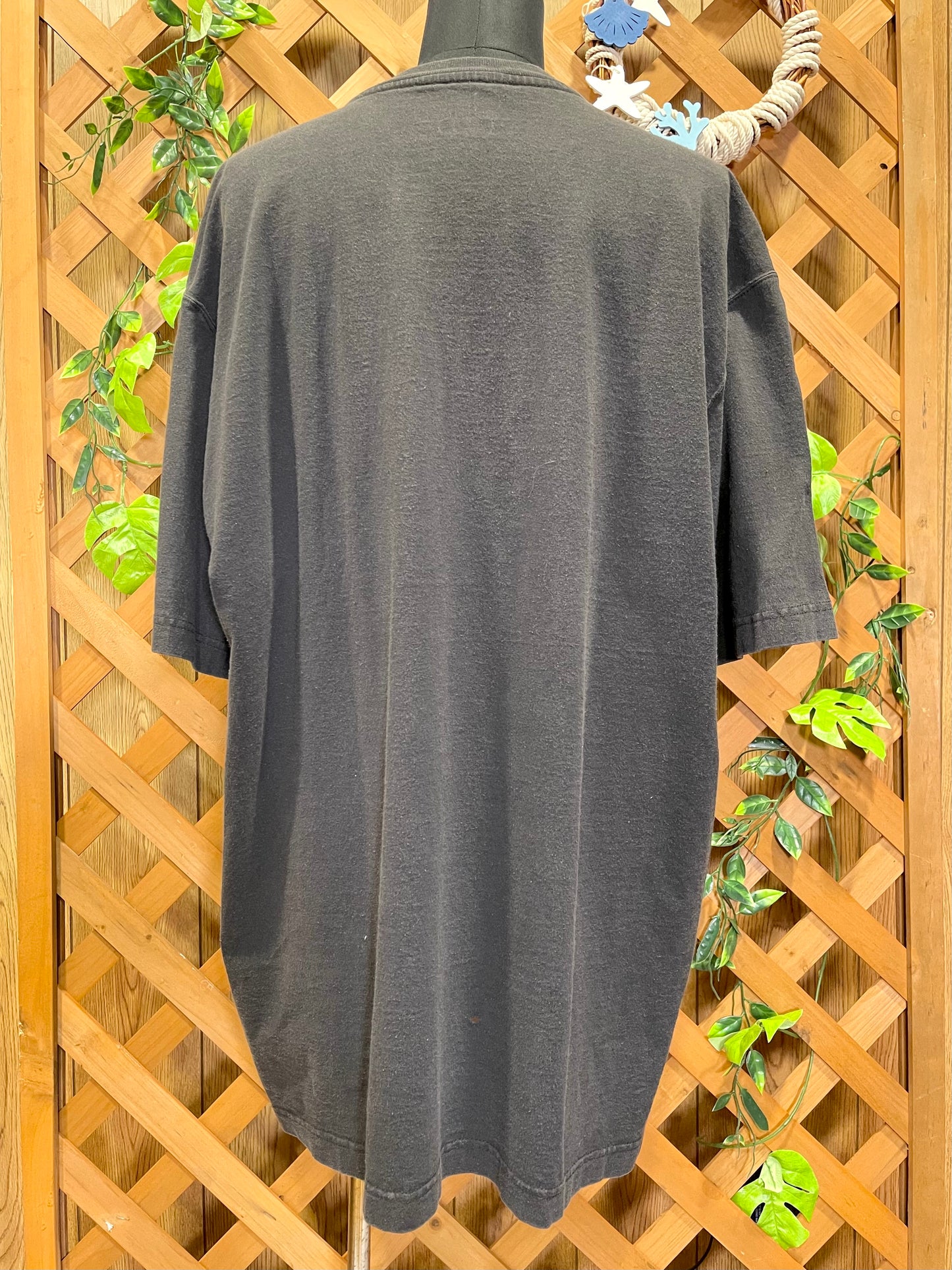 【carhartt】黒のヘンリーネックTシャツ