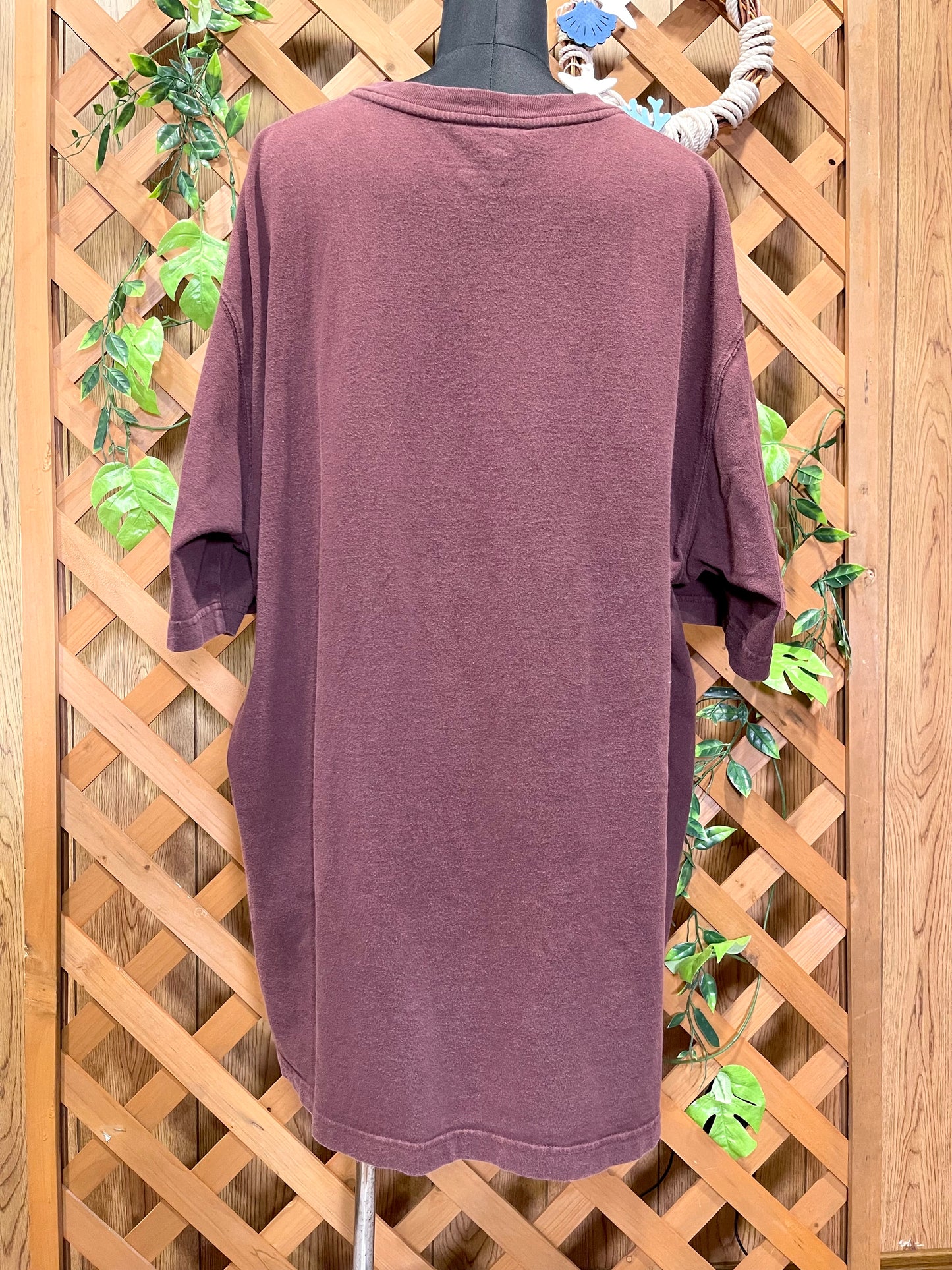 【carhartt】バーガンディのヘンリーネックTシャツ