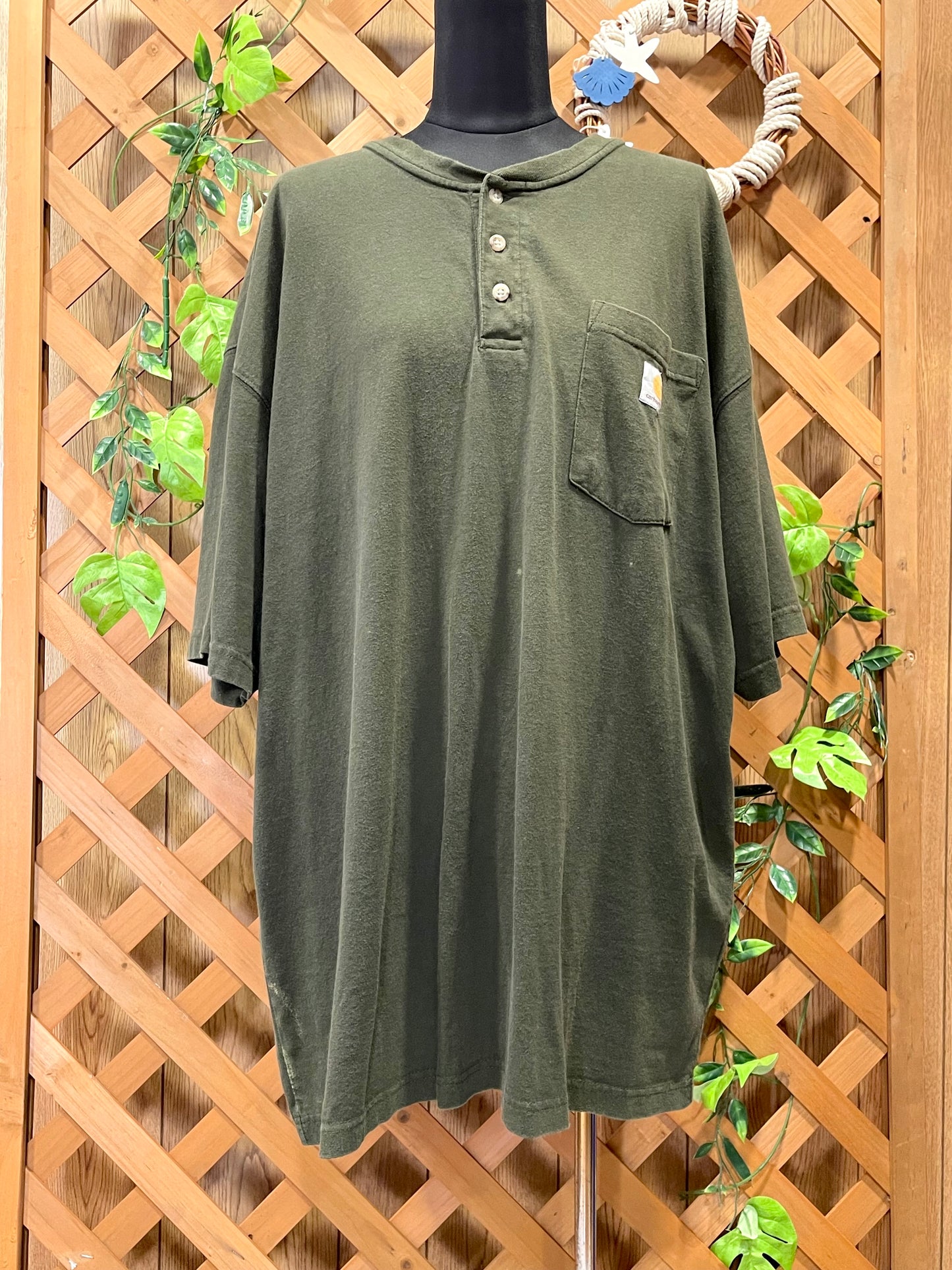 【carhartt】グリーン系のヘンリーネックTシャツ