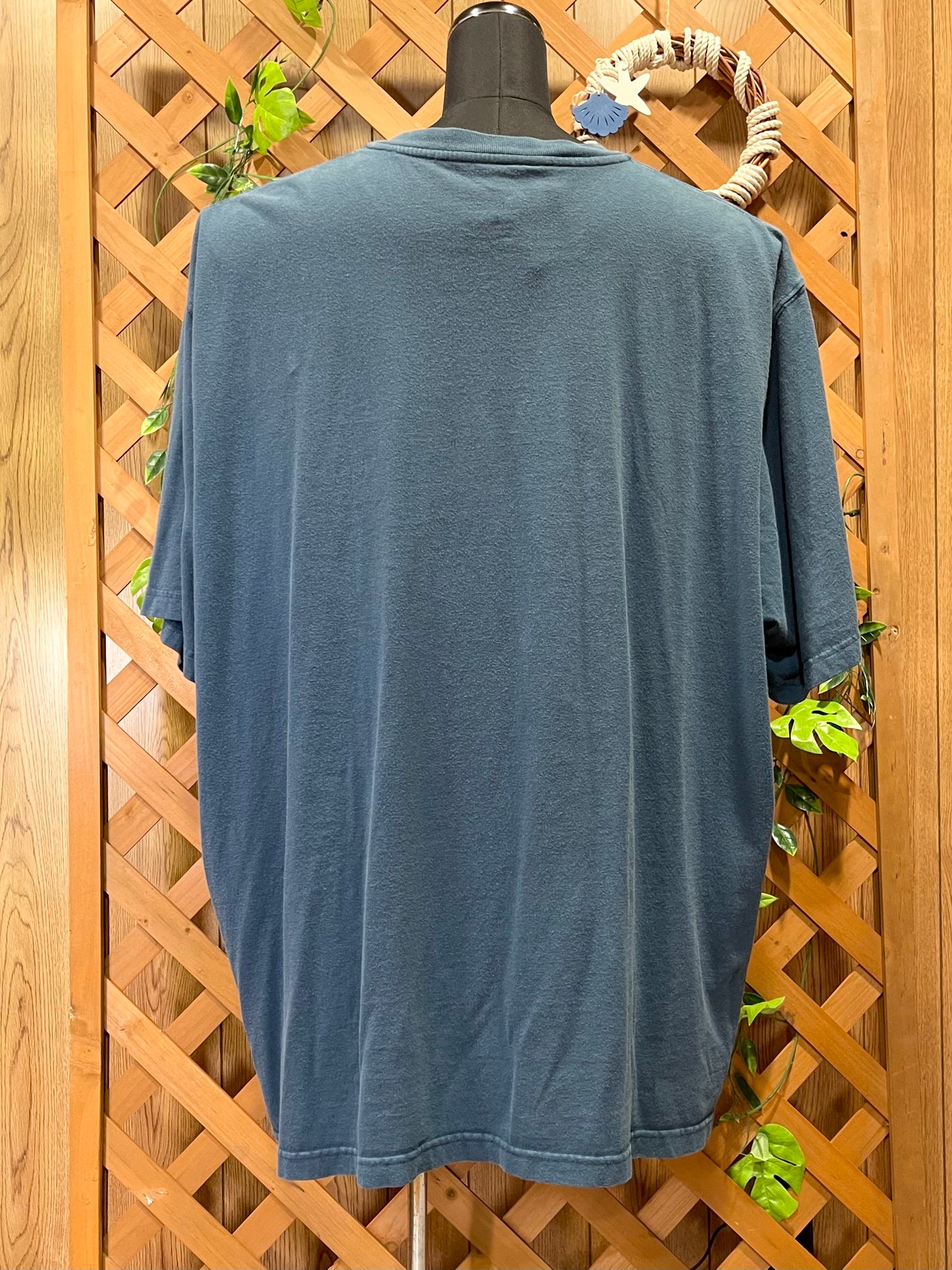 【carhartt】（3XL）青系のヘンリーネックTシャツ