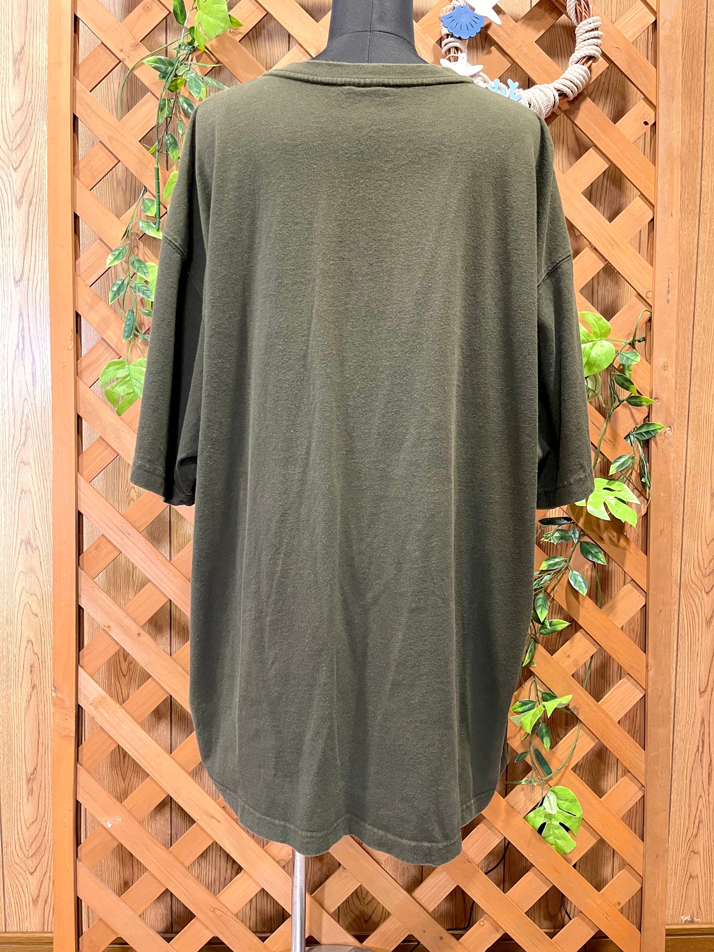 【carhartt】グリーン系のヘンリーネックTシャツ