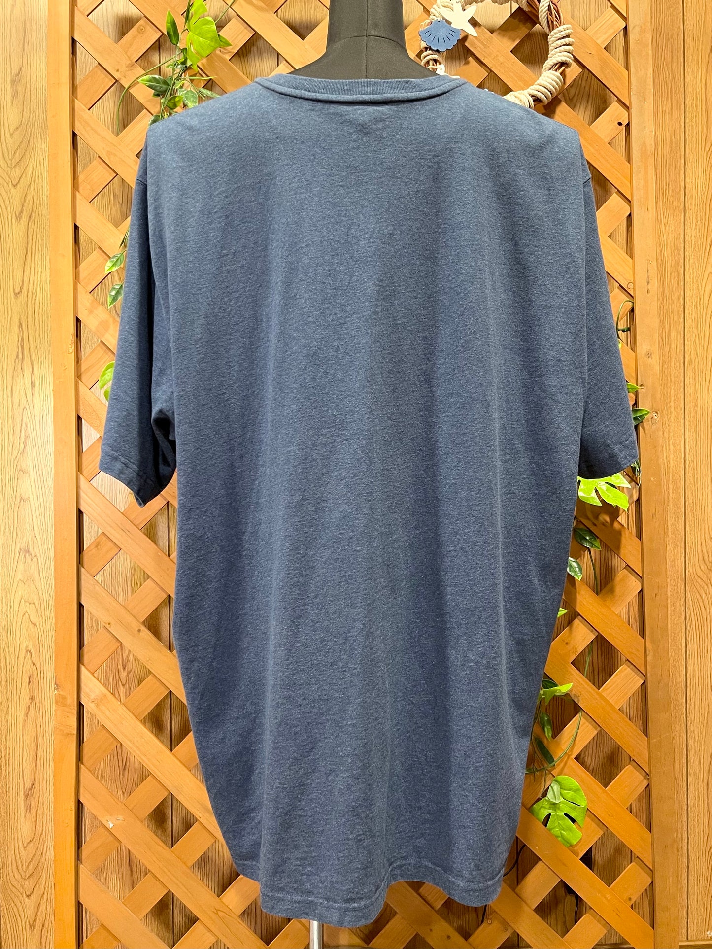 【carhartt】（3XL）ヘザーブルーのヘンリーネックTシャツ