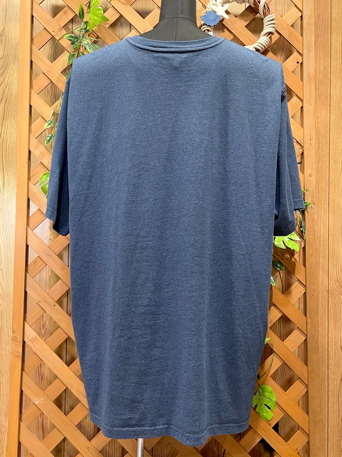 【carhartt】（3XL）ヘザーブルーのヘンリーネックTシャツ