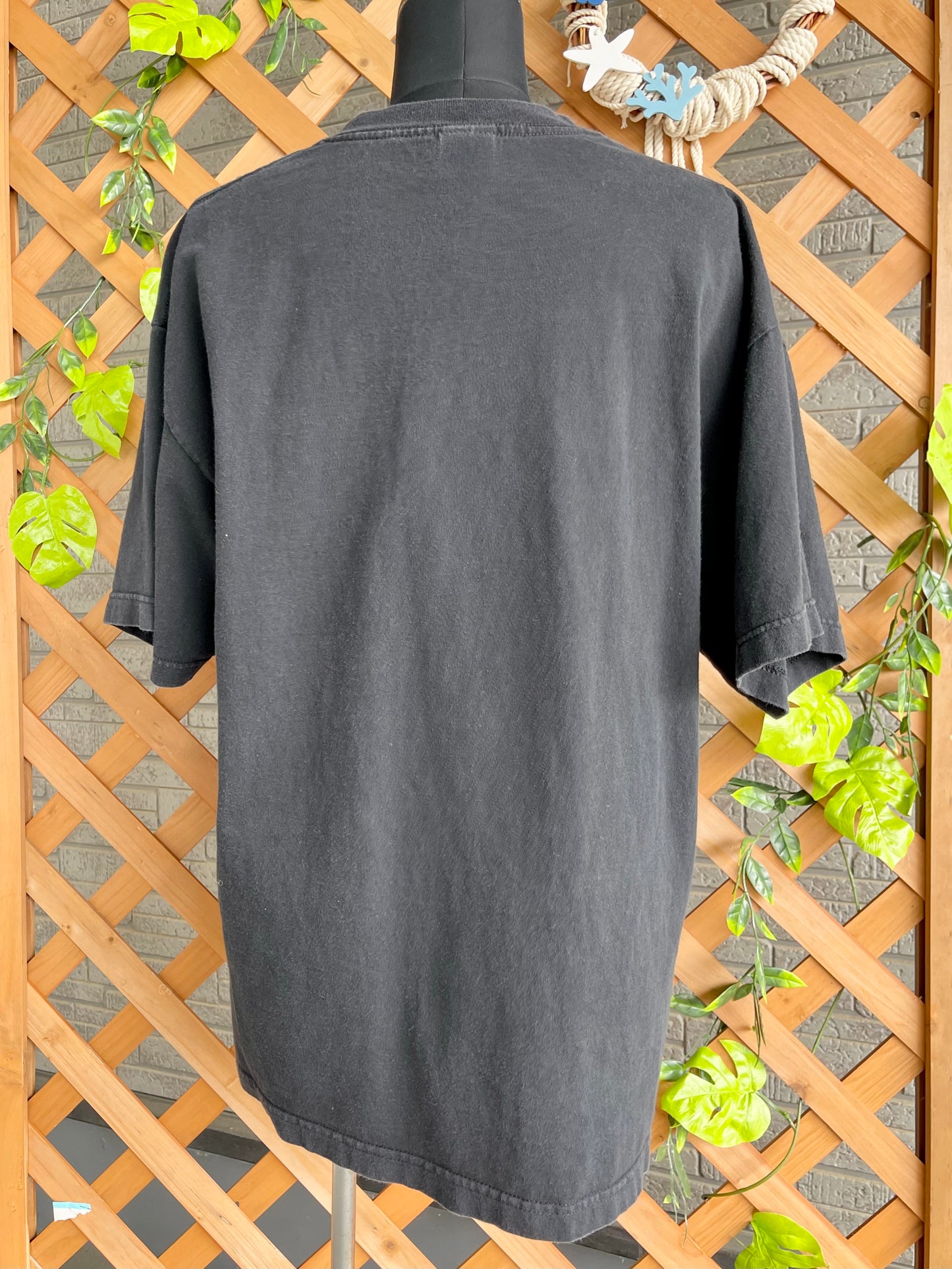 【2000 AAA】ミレニアム記念Tシャツ
