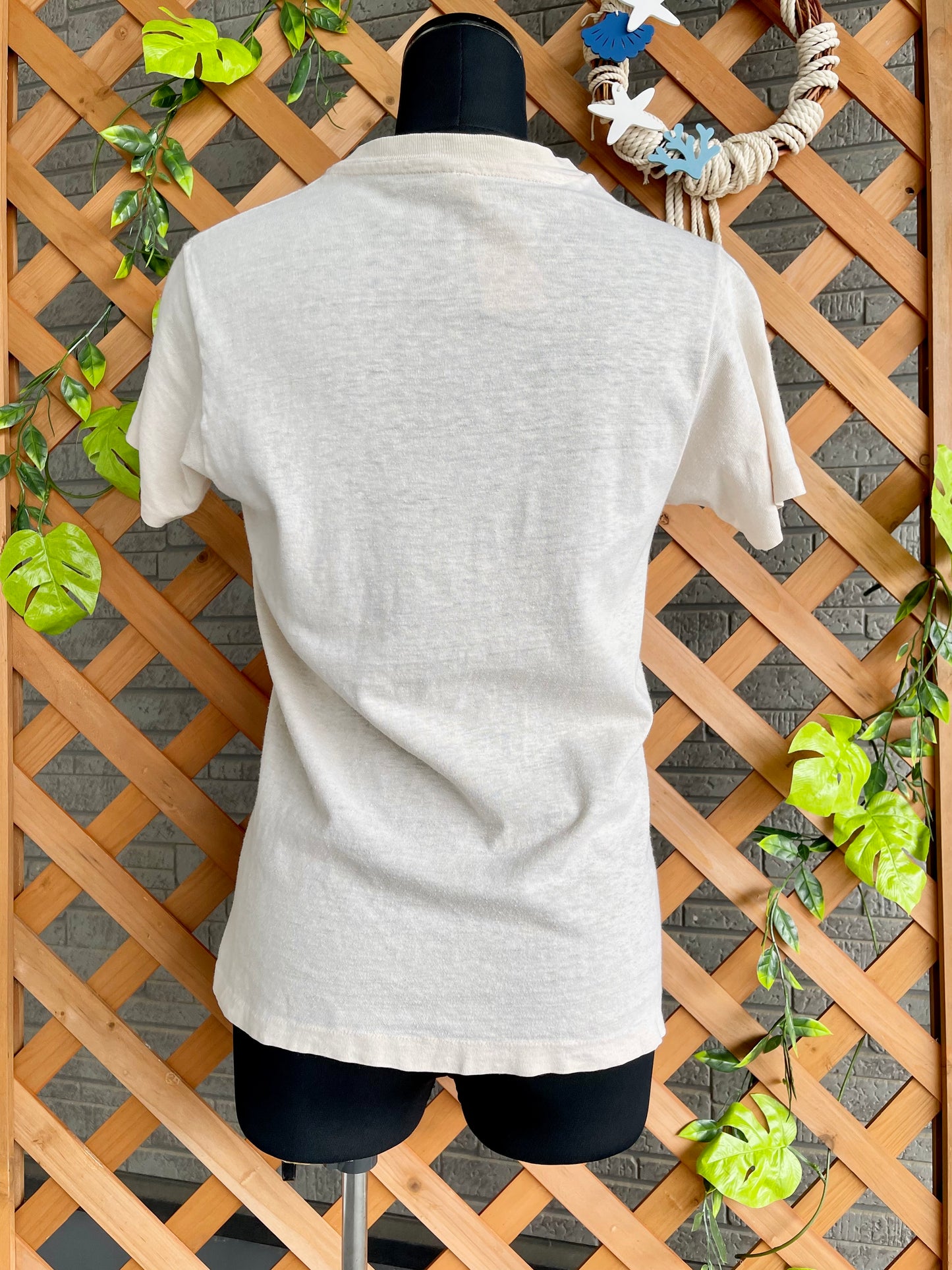 【70s Hanes】（三角タグ）プロビンスタウンの街並みTシャツ