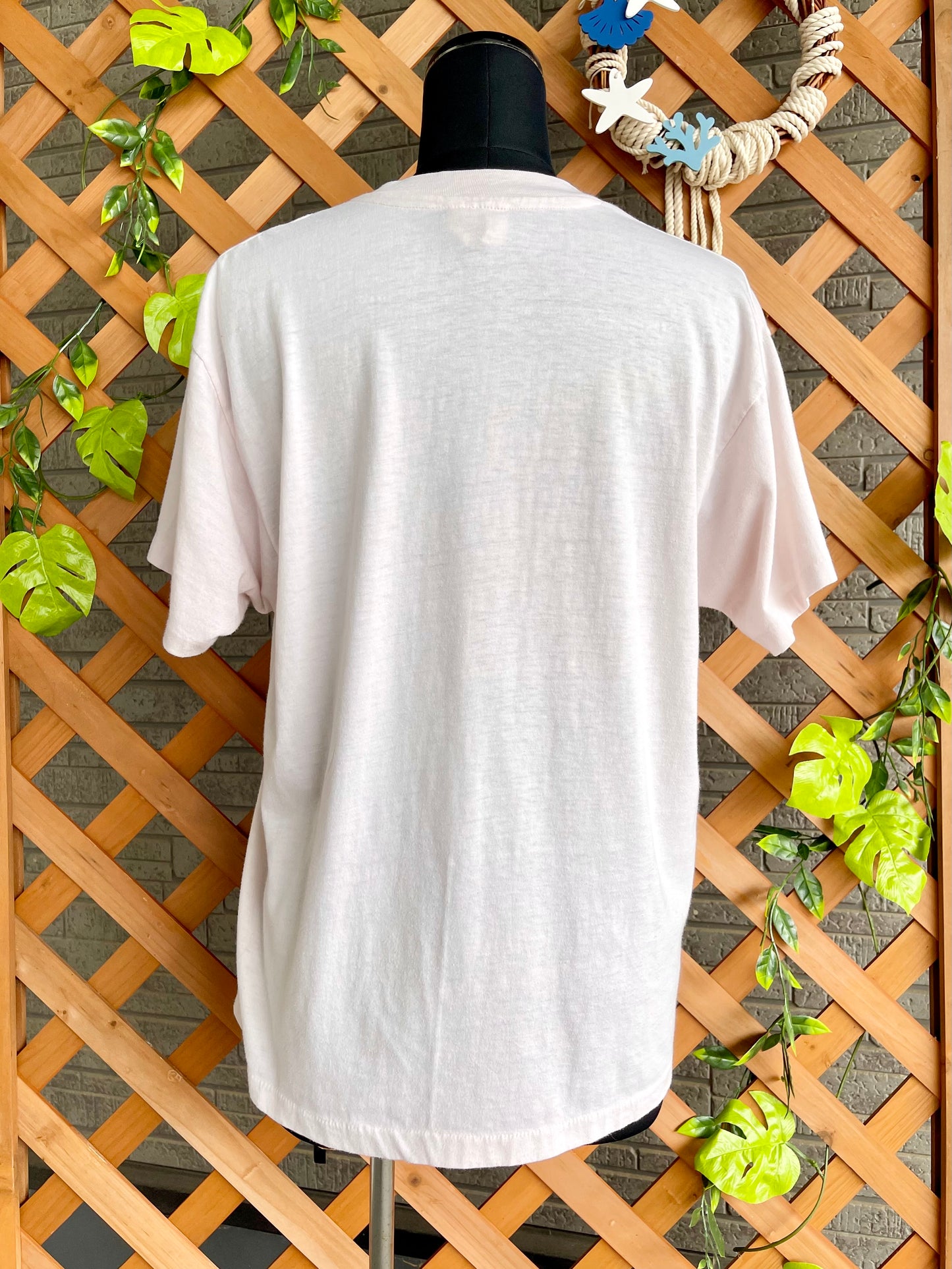 【80s Hanes fifty-fifty】（オレンジタグ）ルッケンバックTシャツ