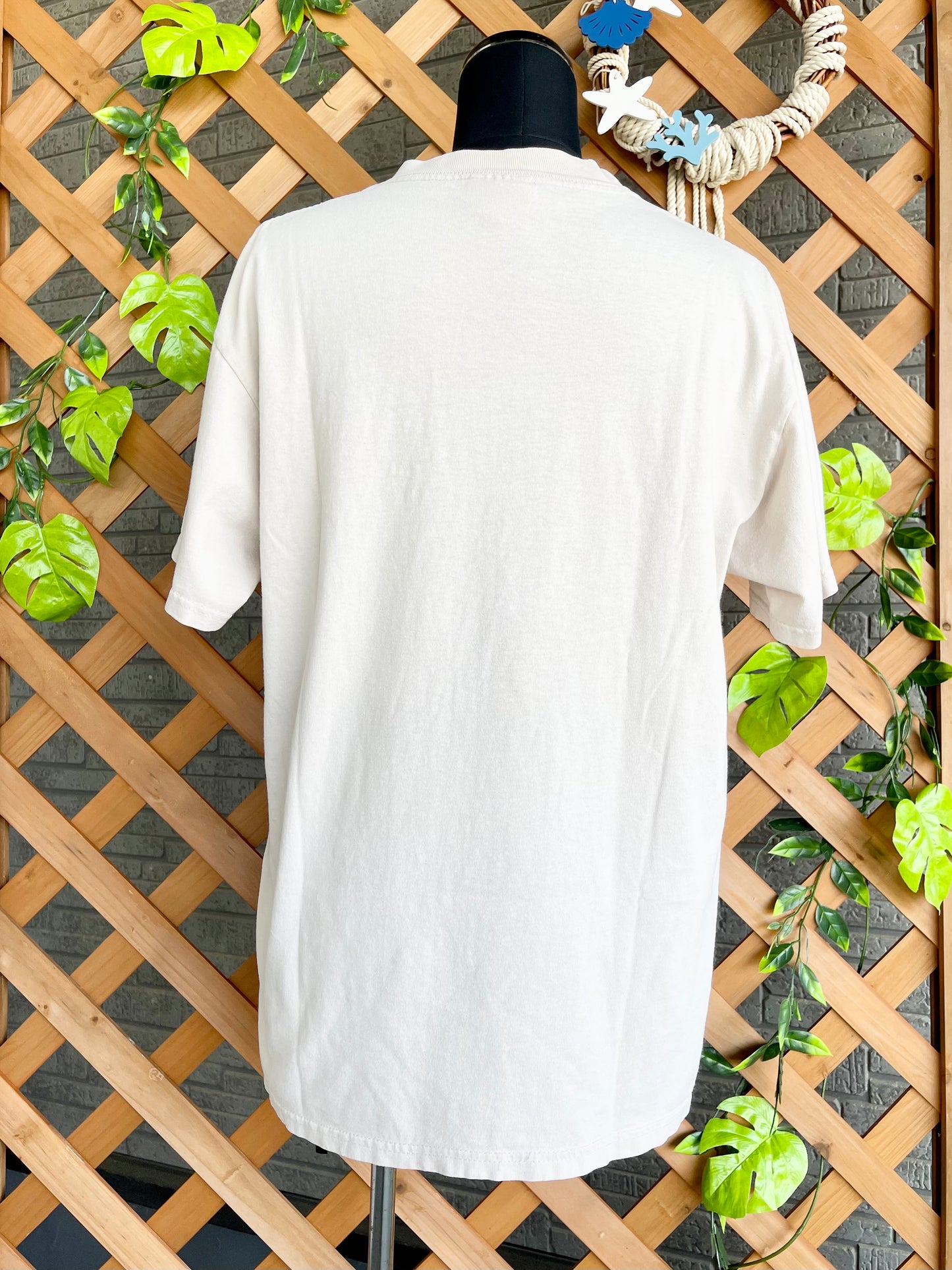 【2000 Hanes】航空ショー記念Tシャツ