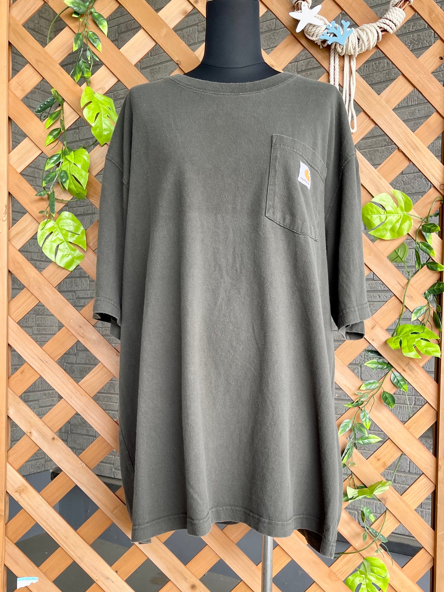 【carhartt】犬バックプリントTシャツ