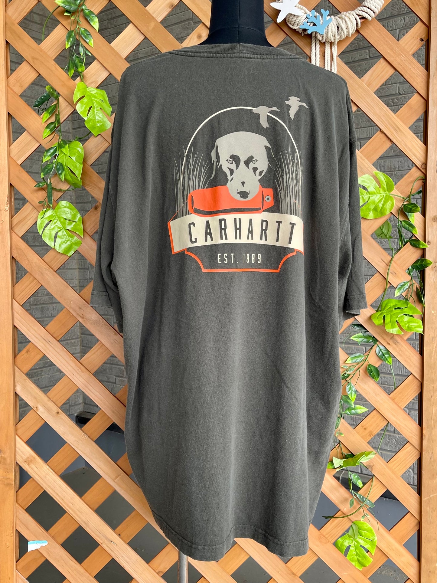 【carhartt】犬バックプリントTシャツ