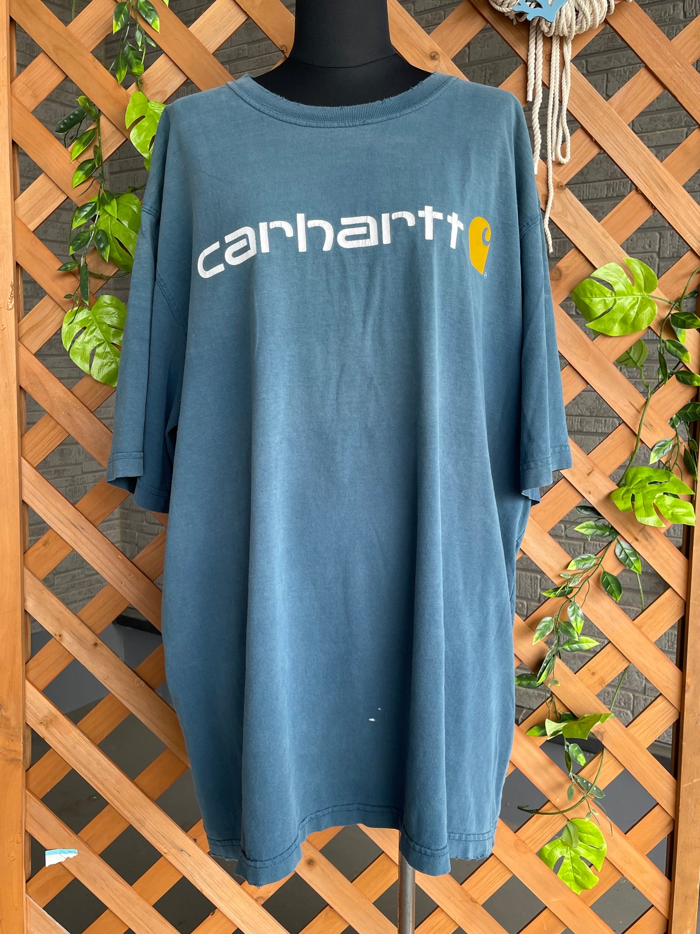 【carhartt】グラフィック青Tシャツ