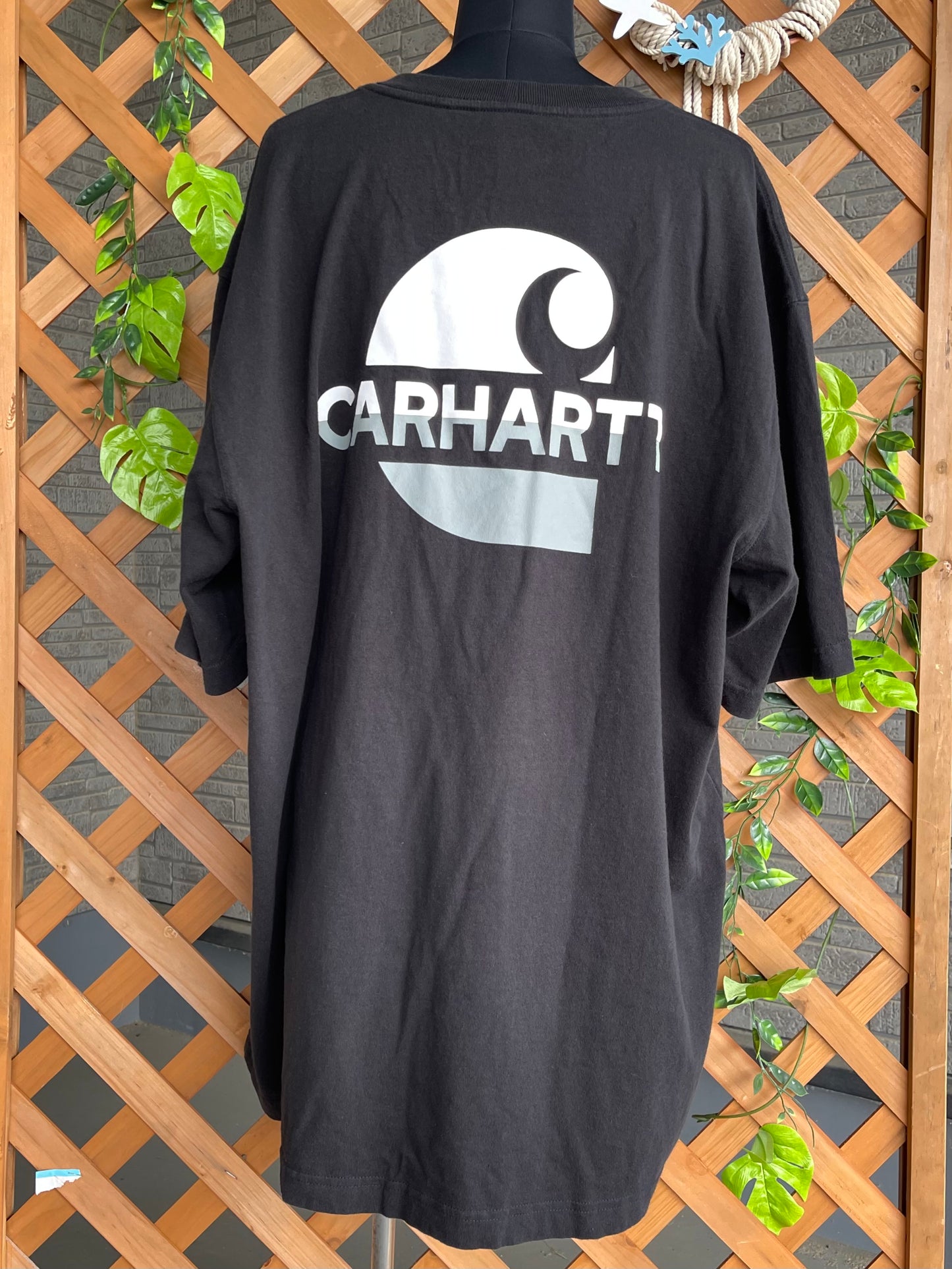 【carhartt】グラフィック黒Tシャツ