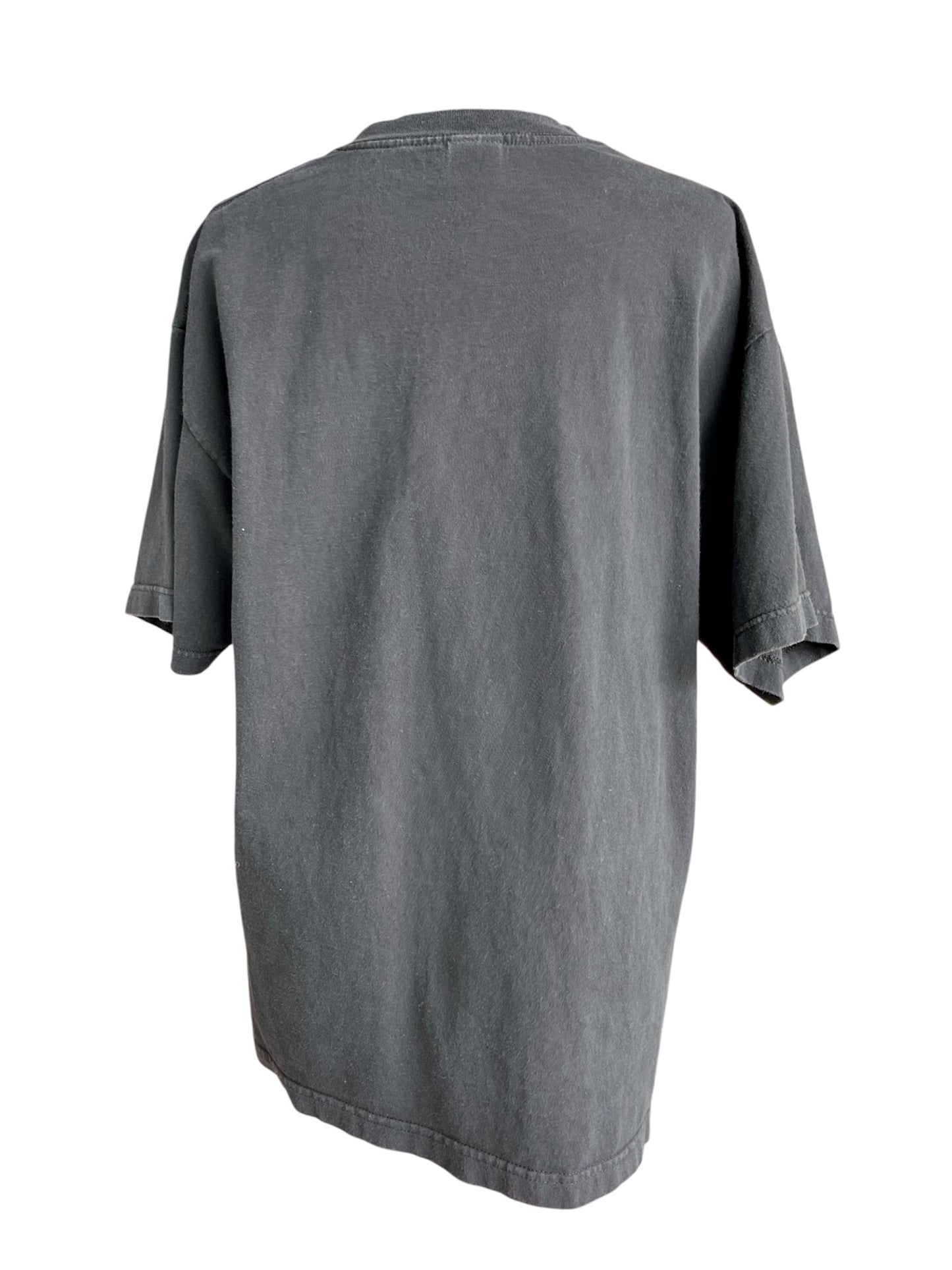【2000 AAA】ミレニアム記念Tシャツ