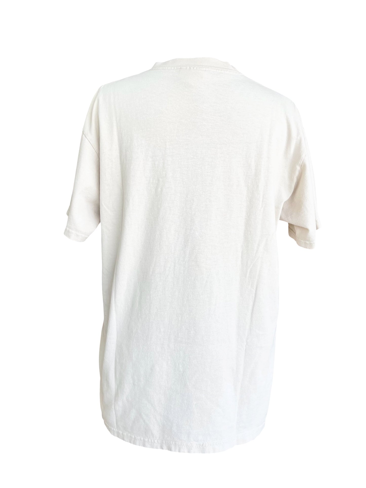 【2000 Hanes】航空ショー記念Tシャツ