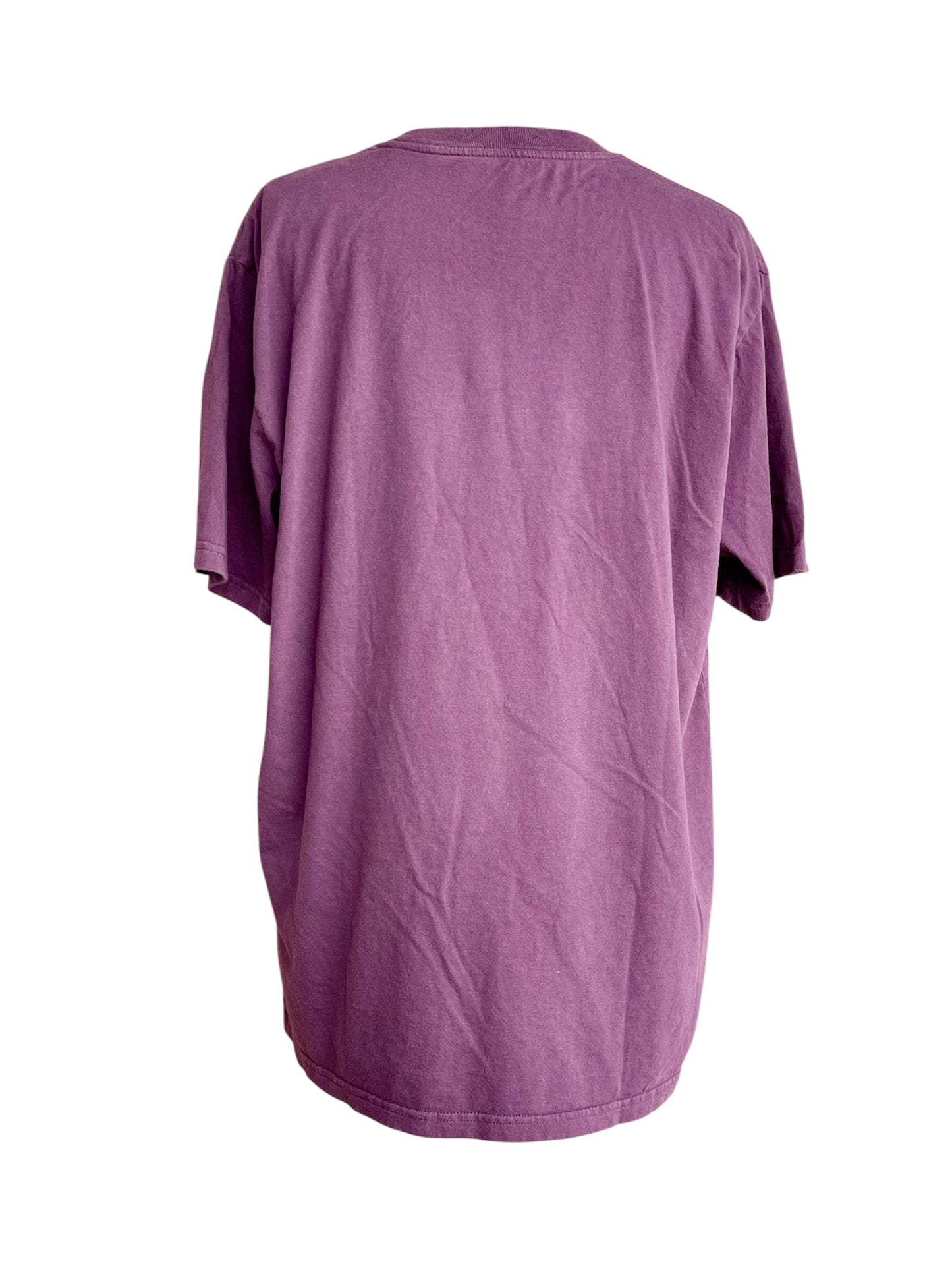 【carhartt WIP】スコーピオンTシャツ