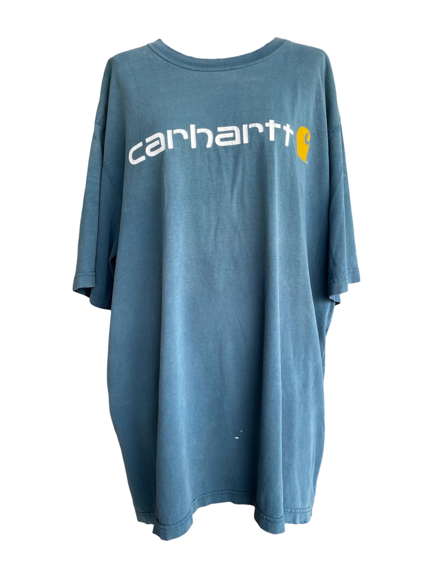 【carhartt】グラフィック青Tシャツ